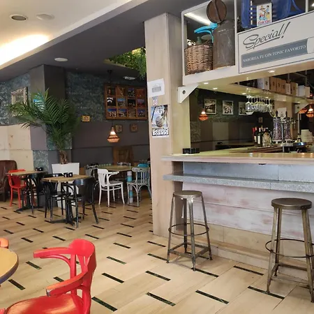 אכסניה Oasis Backpackers'