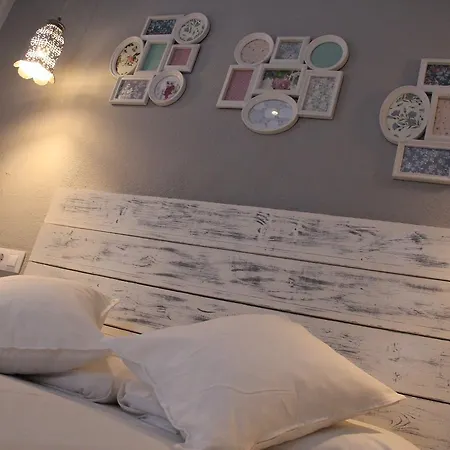 Oasis Backpackers' Toledo