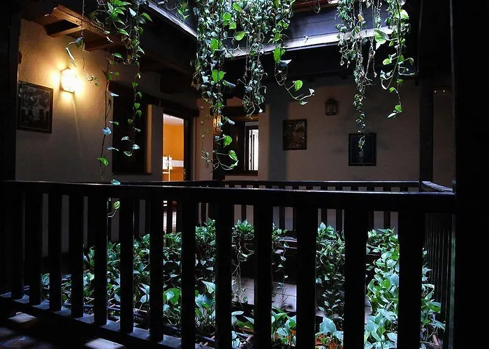 Oasis Backpackers' * Toledo