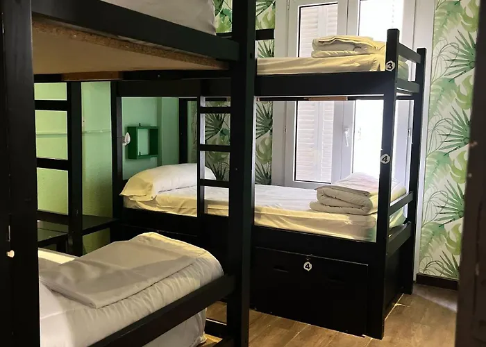 Oasis Backpackers' * Toledo