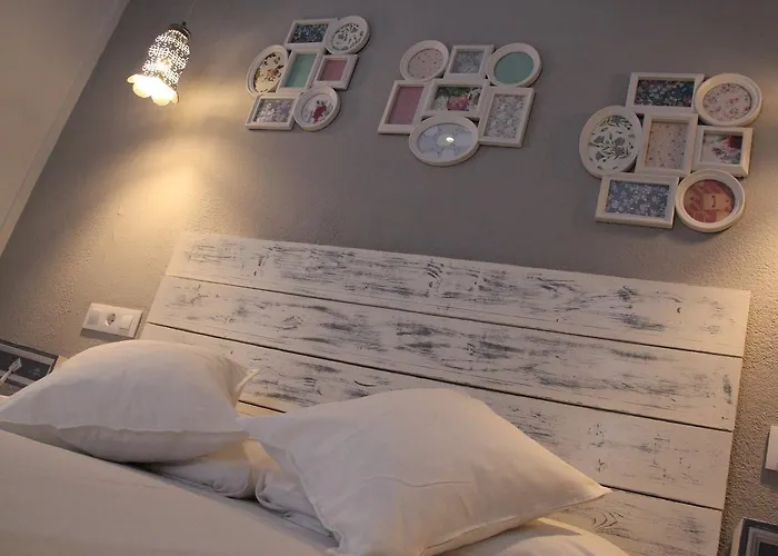 Oasis Backpackers' Toledo