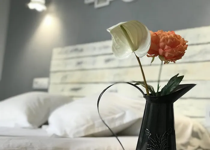 Oasis Backpackers' Albergue Toledo