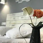 오아시스 백패커스 호스텔 톨레도