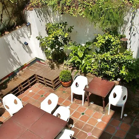 Oasis Backpackers'