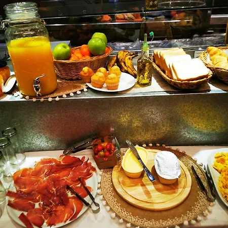 Oasis Backpackers' Toledo