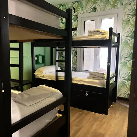 Oasis Backpackers' * Toledo