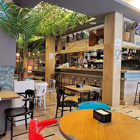 Oasis Backpackers' Toledo
