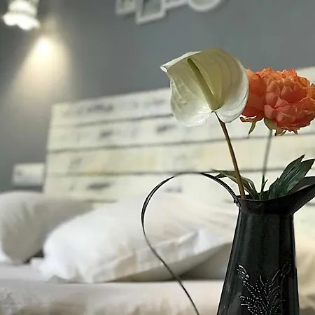 Oasis Backpackers' Hostel