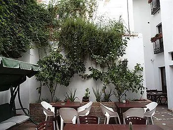 Oasis Backpackers' Toledo