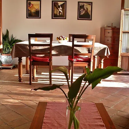 Ostello Oasis Backpackers'