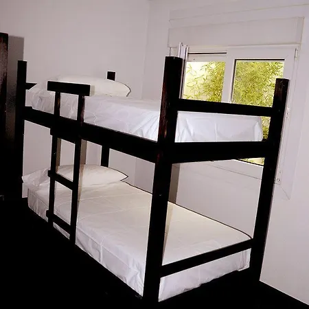 Oasis Backpackers'