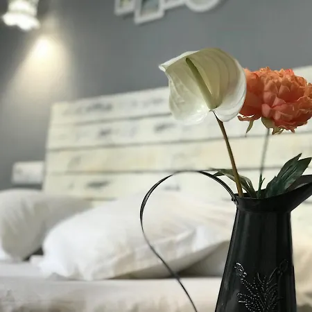 Oasis Backpackers' Vandrarhem Toledo