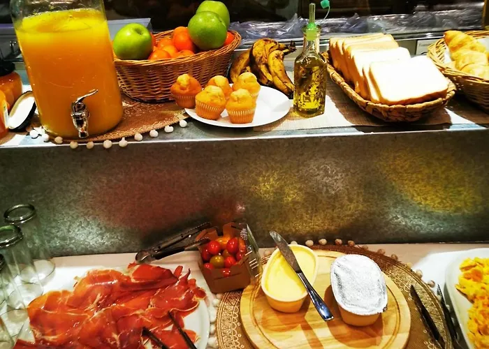 Oasis Backpackers' Toledo