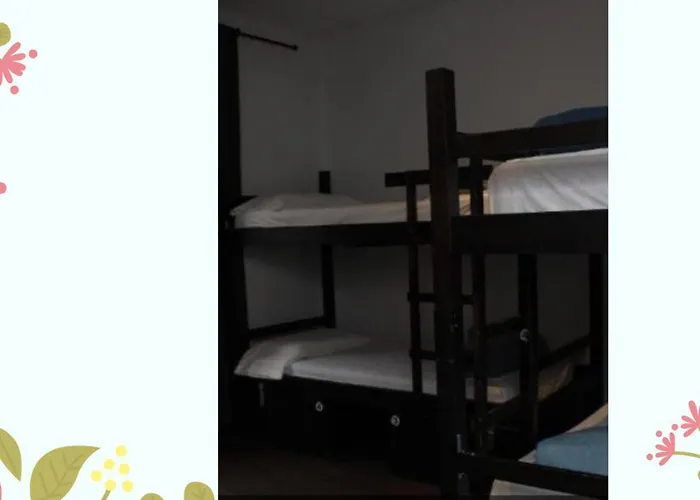 Hostel Oasis Backpackers' Toledo