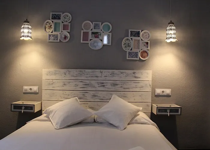 Oasis Backpackers' *